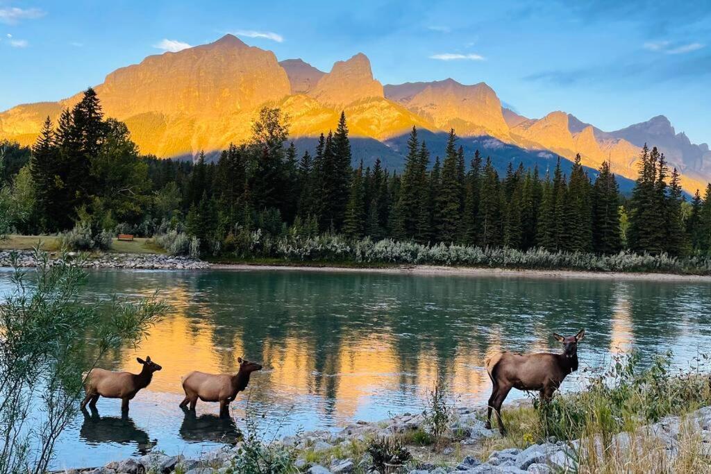 Unit #301 Mountain View 1Br In Canmore Down Town Exteriör bild